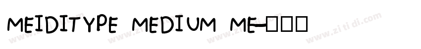 MEIDITYPE MEDIUM ME字体转换